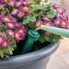 Lee Valley PlantWell Watering Bulb