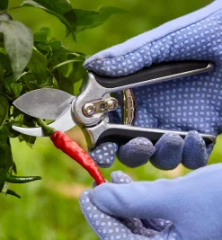 Lee Valley Pocket Pruner