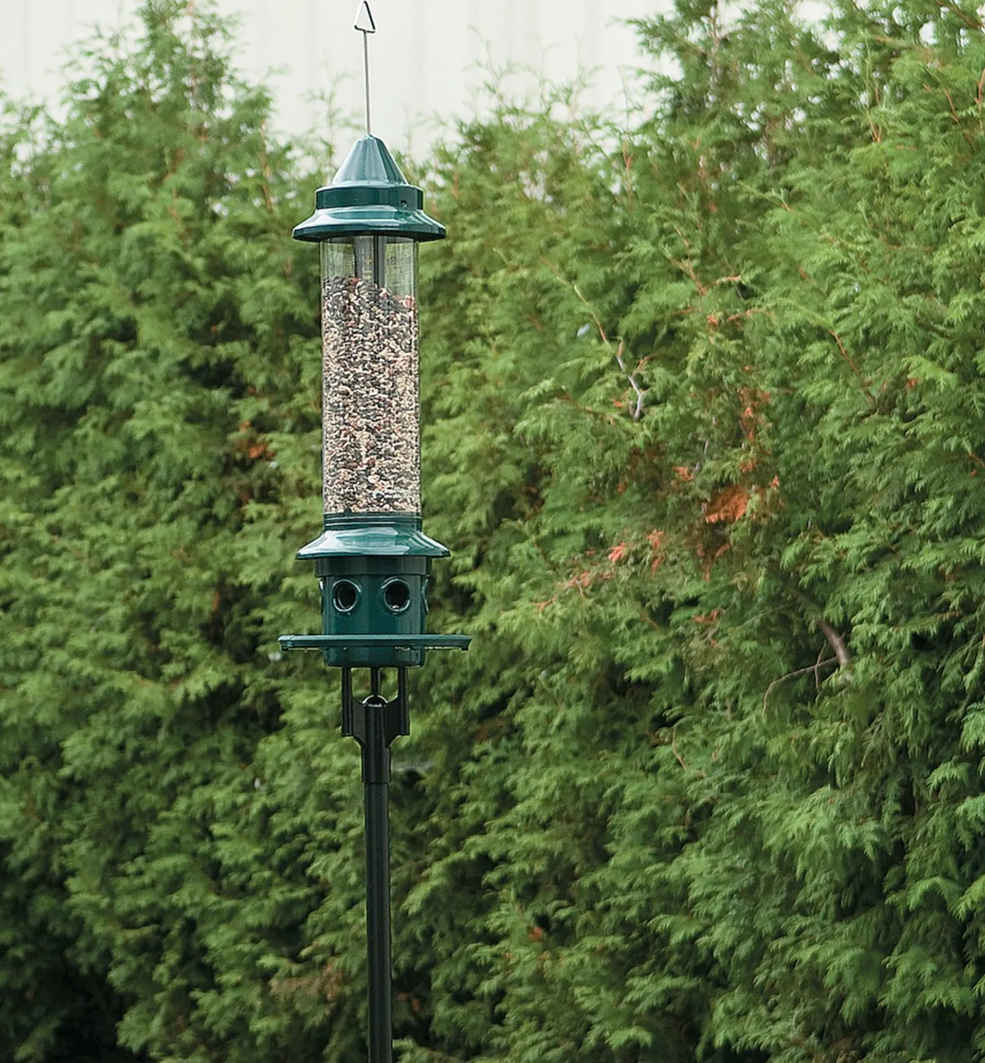 Lee Valley Pole Adapter For Squirrel Buster Plus