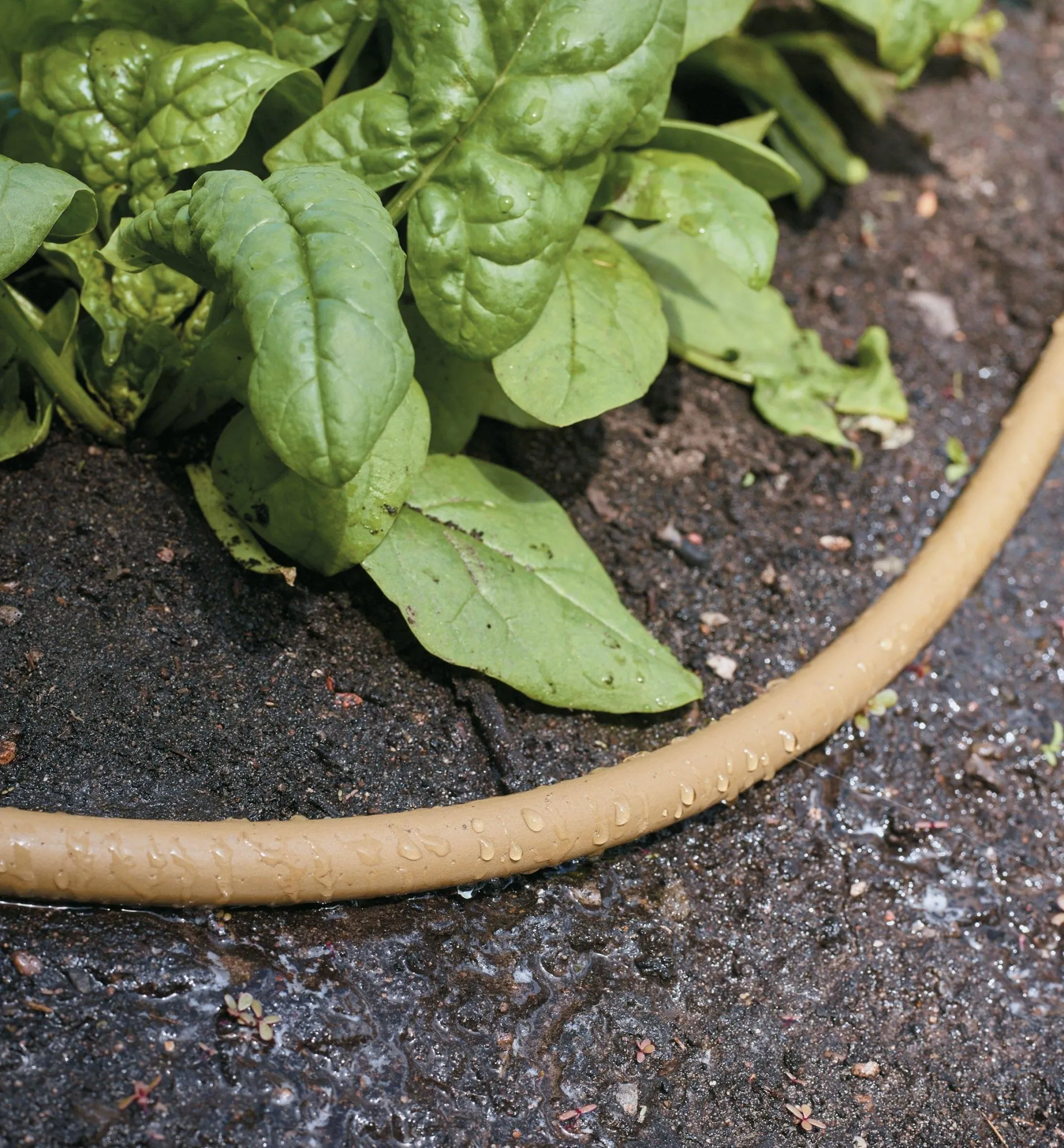 Lee Valley Polyurethane Soaker Hose