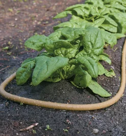 Lee Valley Polyurethane Soaker Hose