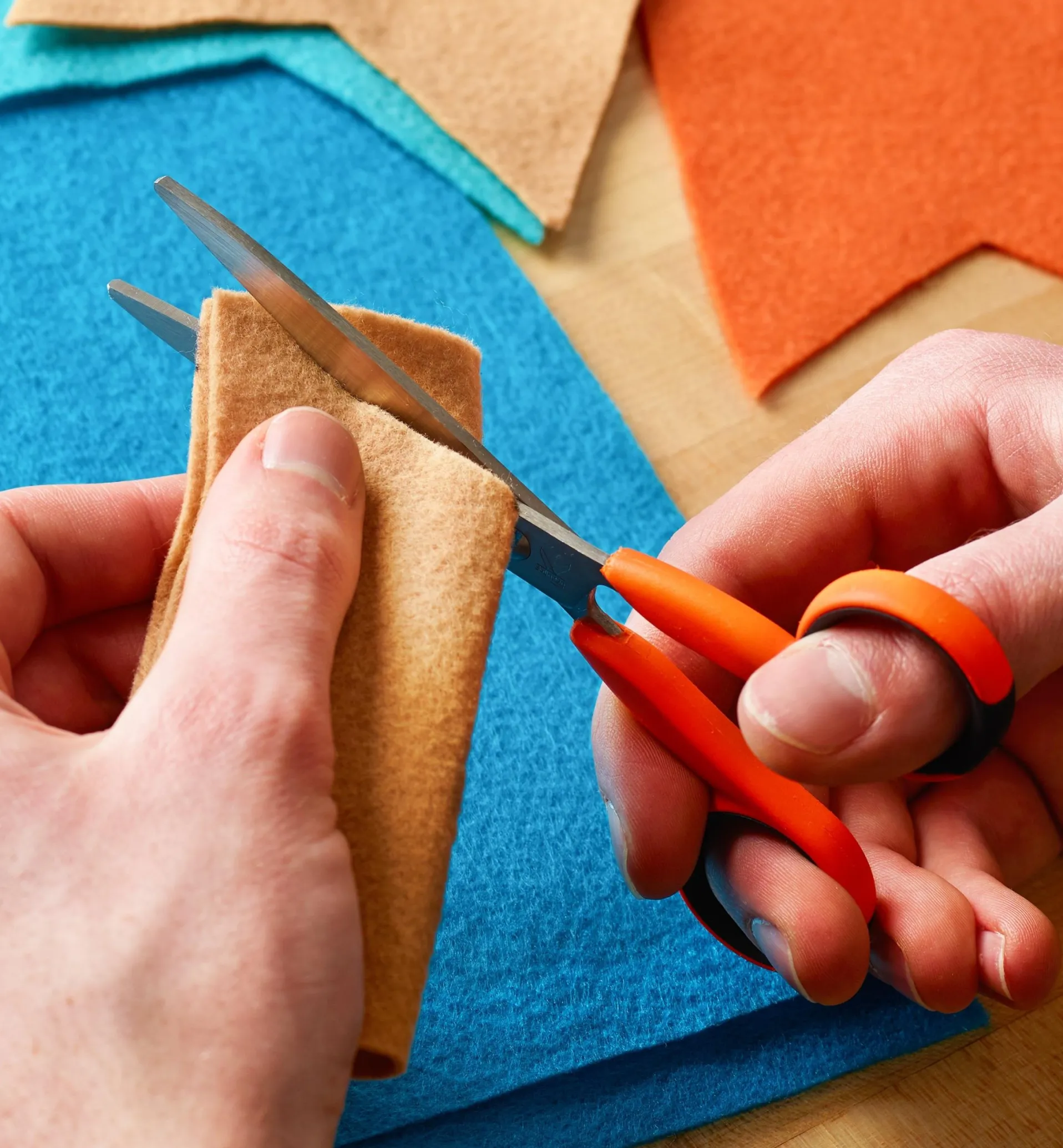 Lee Valley Precision Safety Scissors