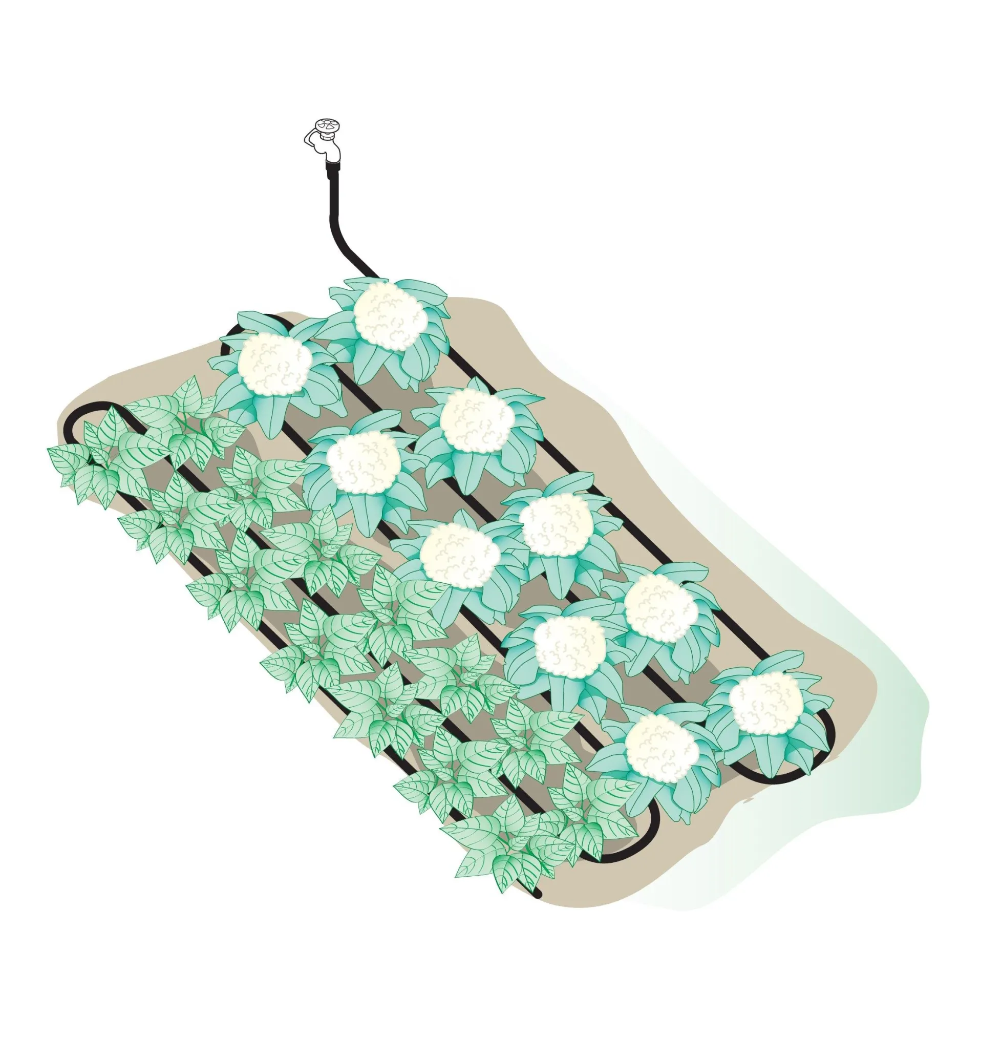 Lee Valley Professional Soaker Hose