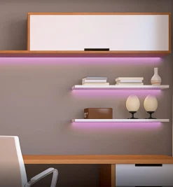 Lee Valley Proline Controller For RGB+W LED Tape Lights