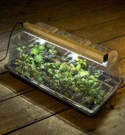 Lee Valley Propagation Tray, Dome, Grow Light & Timer Set
