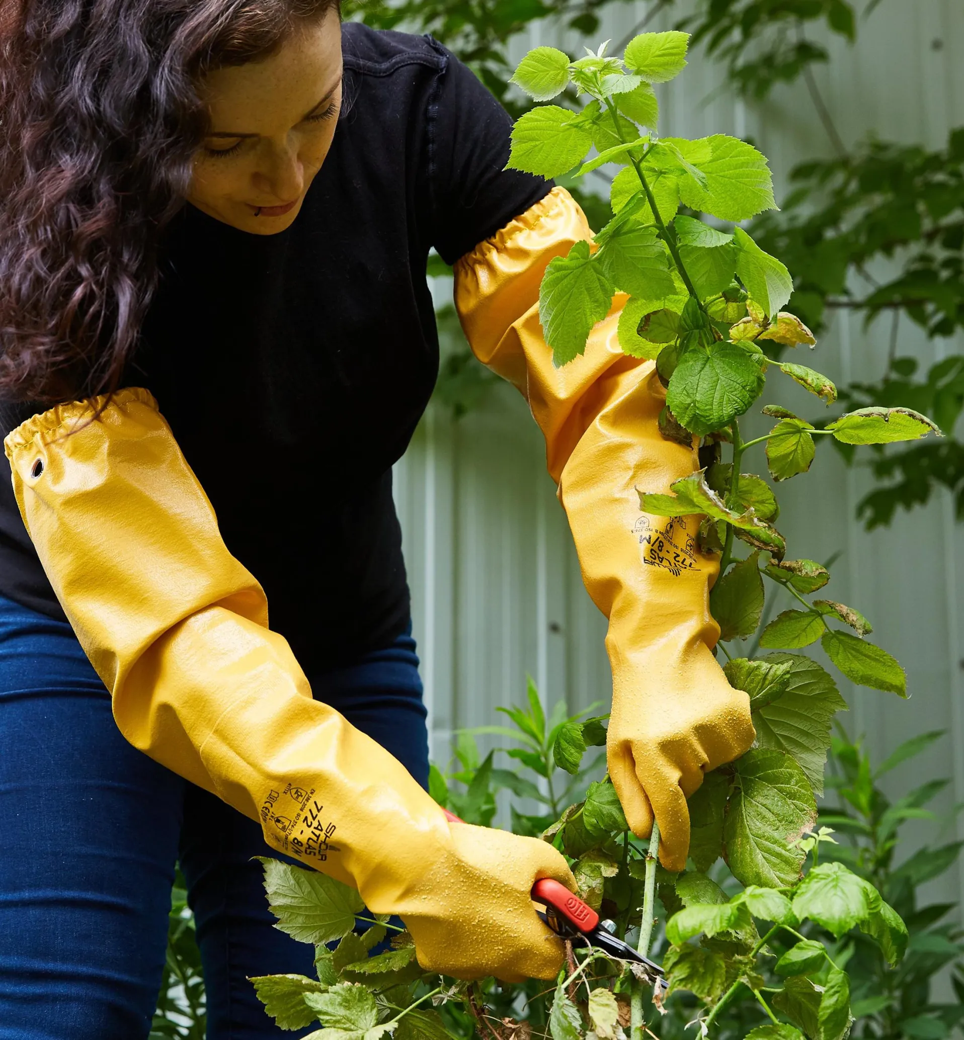 Lee Valley Protective Pruning Gloves