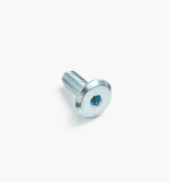 Lee Valley Rampa 1/4-20 Flat-Head Bolts