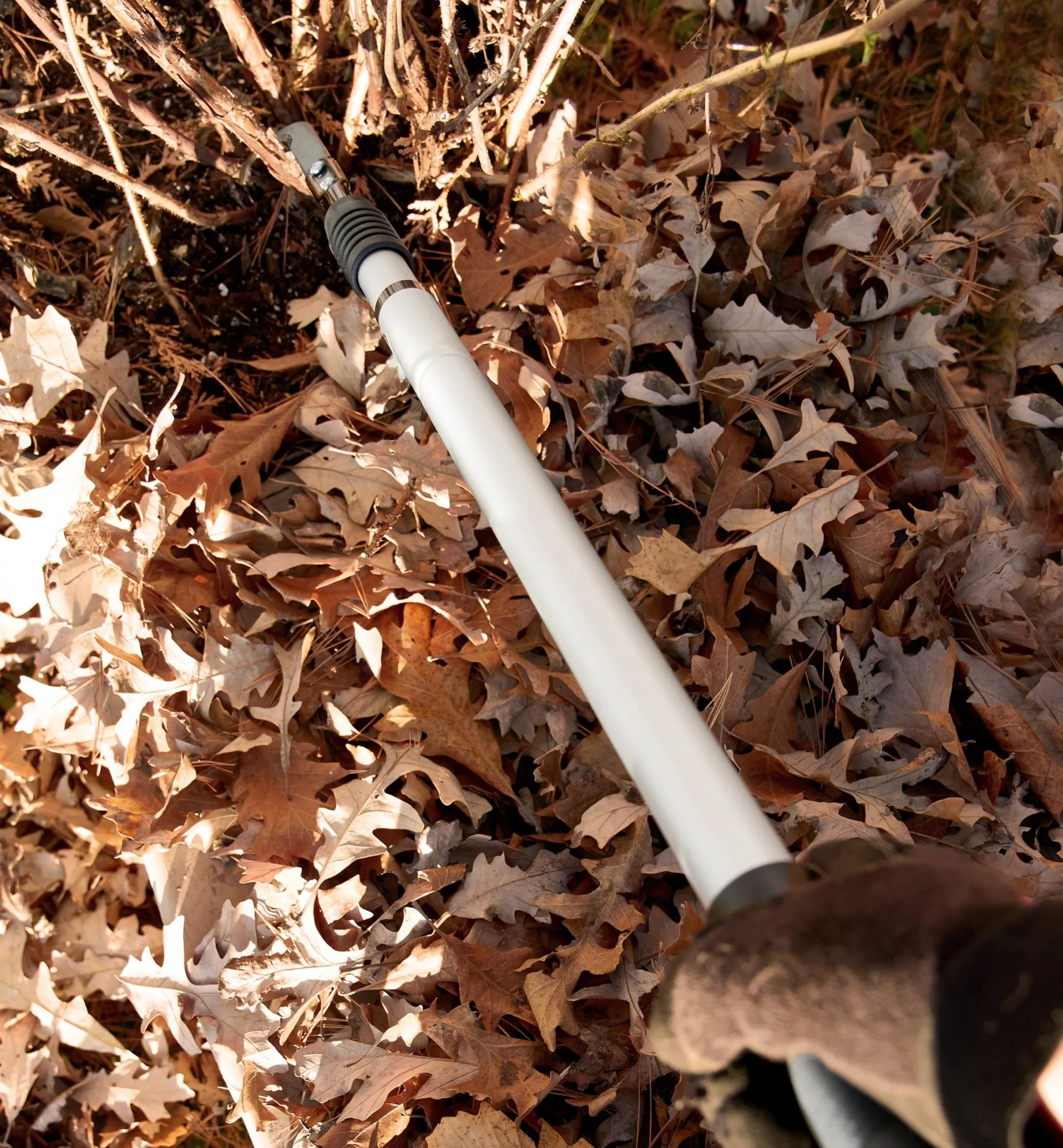 Lee Valley Raspberry Cane Cutter