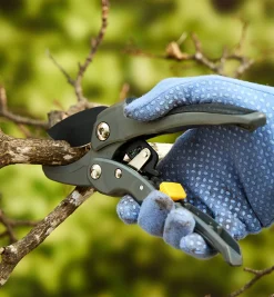 Lee Valley Ratcheting Hand Pruner