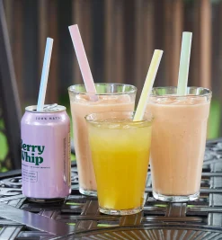 Lee Valley Reusable Slider Straws