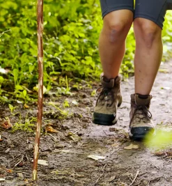 Lee Valley Rubber/Brass Cane Tip