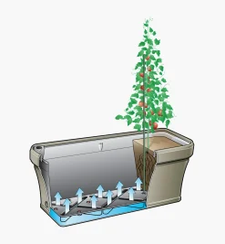 Lee Valley Self-Watering Planter