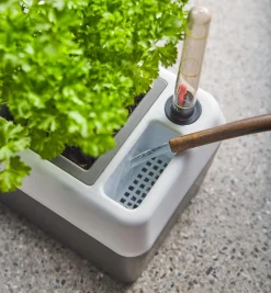 Lee Valley Self-Watering Windowsill Planter
