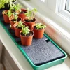 Lee Valley Self-Watering Windowsill Tray