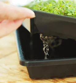 Lee Valley Shallow Seeding Tray Set