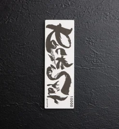 Lee Valley Shapton RockStar Stones