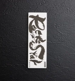 Lee Valley Shapton RockStar Stones