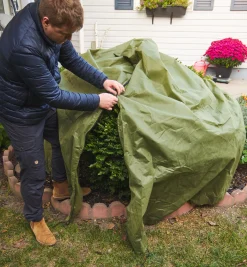 Lee Valley Shrub & Potted Plant Protector