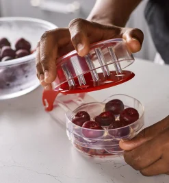 Lee Valley Six-Cherry Pitter