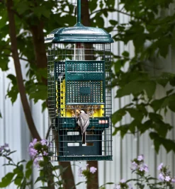 Lee Valley Squirrel Buster Suet Feeder