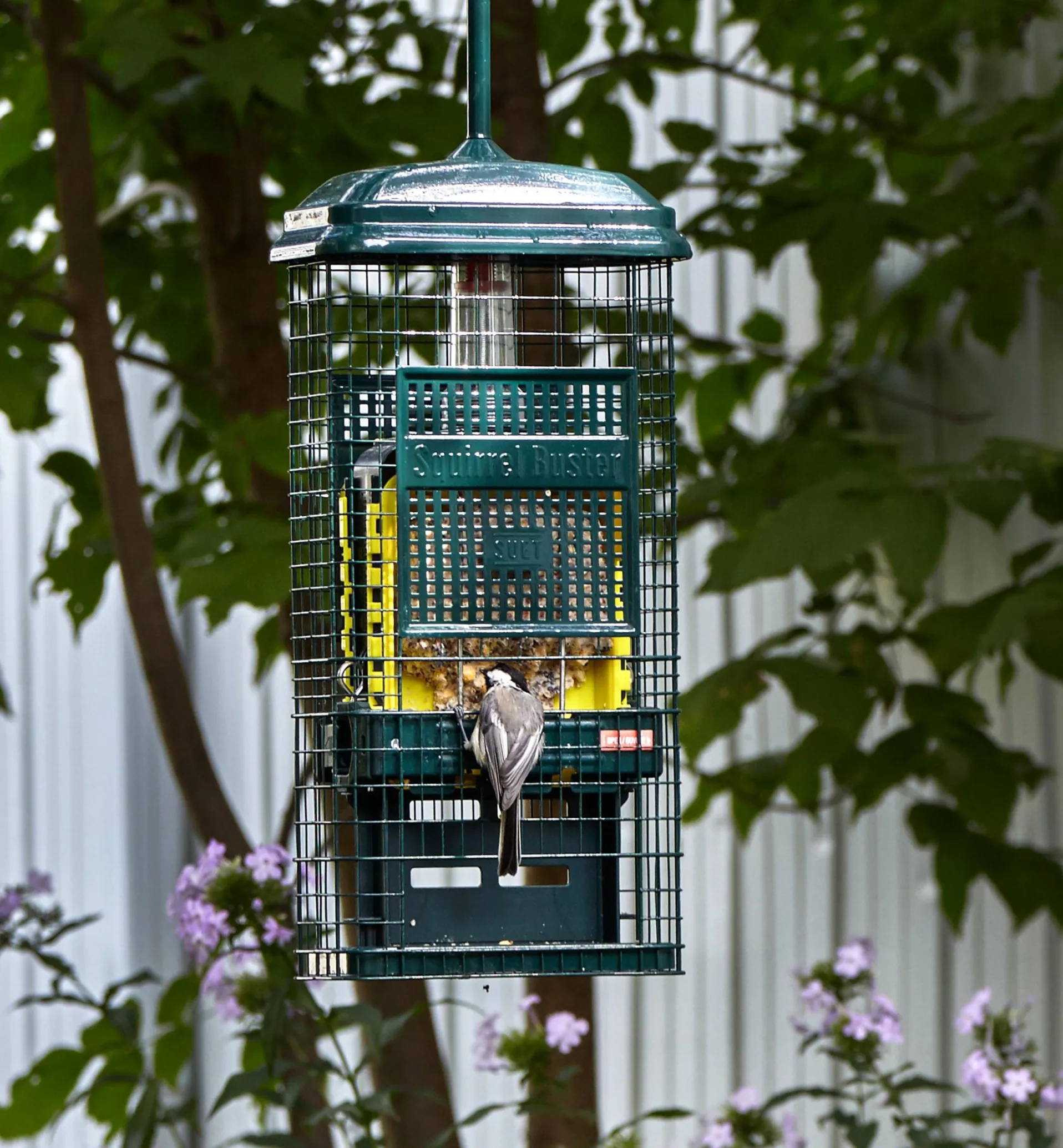 Lee Valley Squirrel Buster Suet Feeder