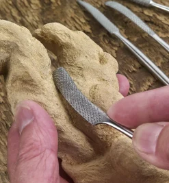 Lee Valley Stainless-Steel Hand-Stitched Riffler Set