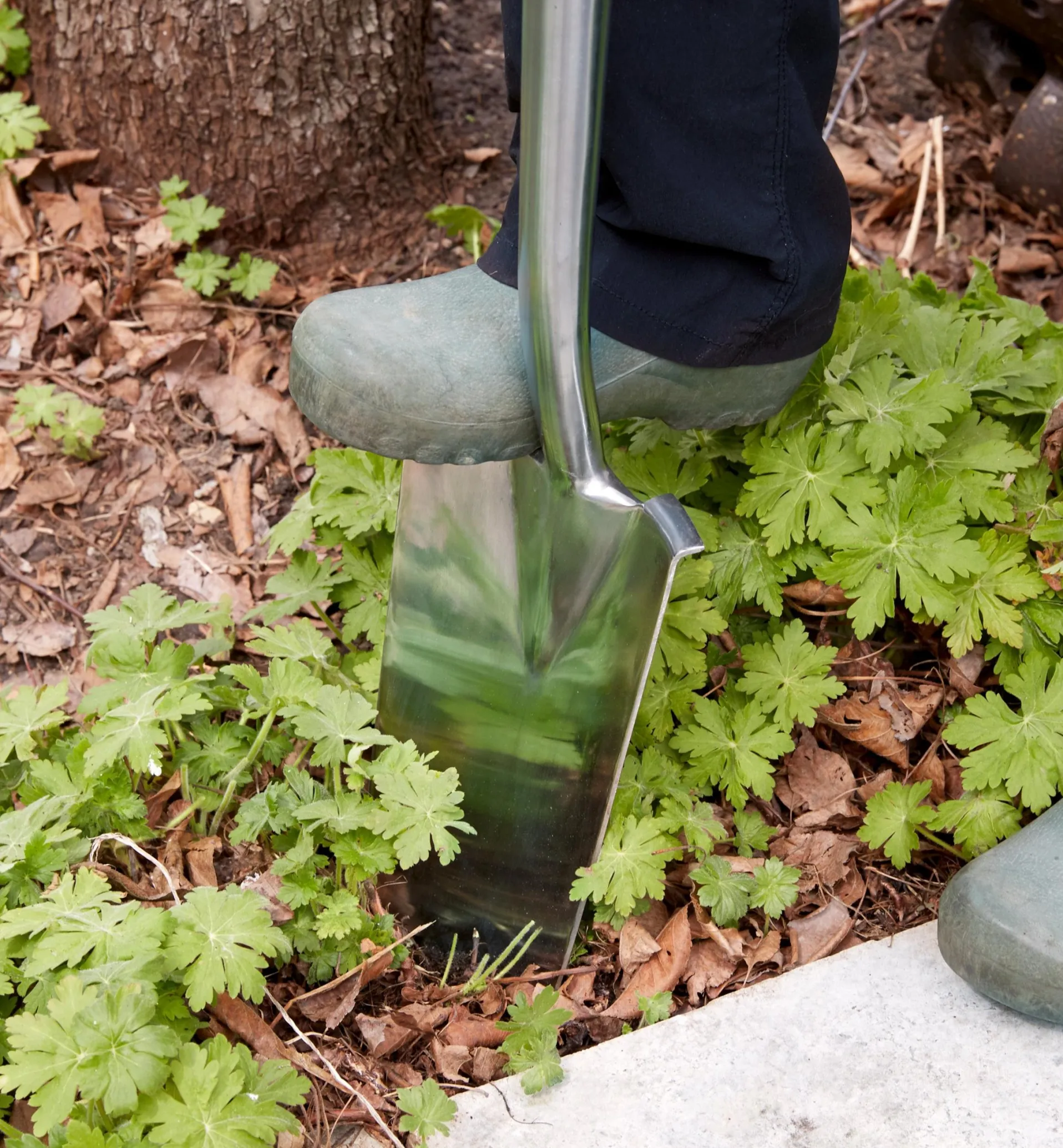 Lee Valley Stainless-Steel Transplant Spade
