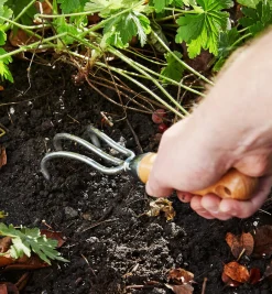 Lee Valley Start A Garden Bed Set