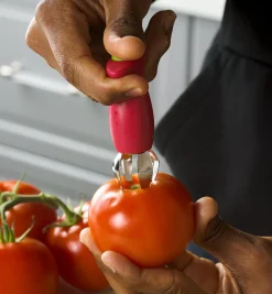 Lee Valley Strawberry Huller