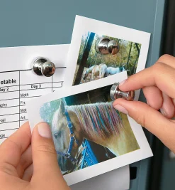 Lee Valley Super Magnet For The Fridge