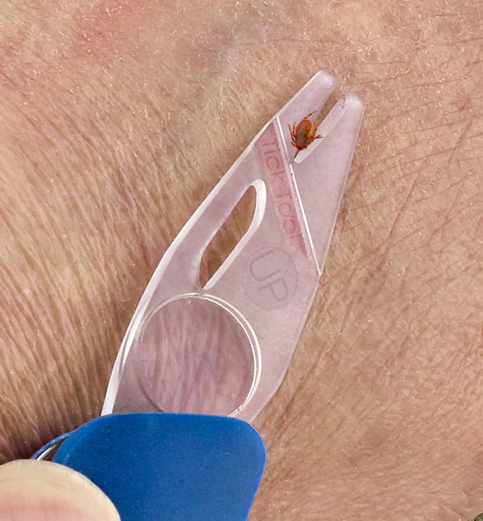 Lee Valley Swiss Multi-Tool Tick Remover