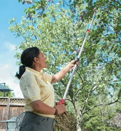 Lee Valley Telescoping Long-Arm Pruner