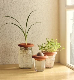 Lee Valley Terra Cotta Seed Sprouters