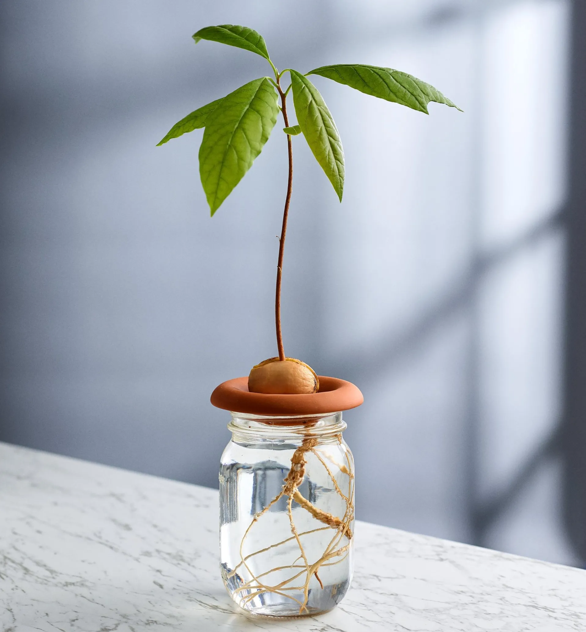 Lee Valley Terra Cotta Seed Sprouters