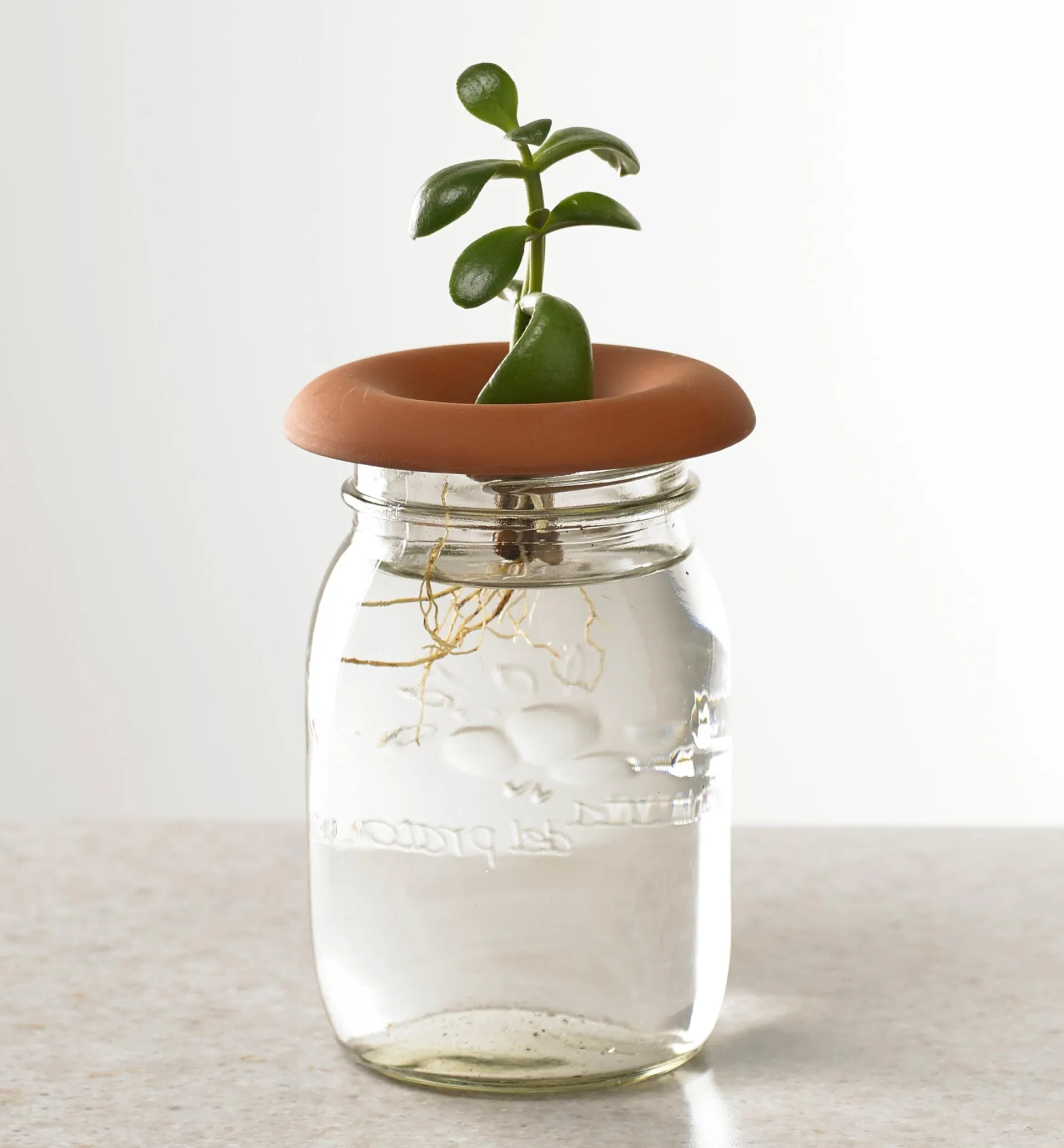 Lee Valley Terra Cotta Seed Sprouters