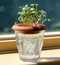 Lee Valley Terra Cotta Seed Sprouters