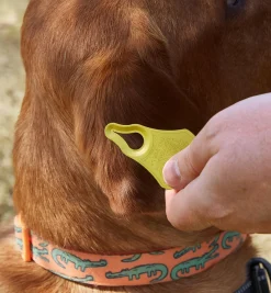 Lee Valley Tick Key Tick Remover