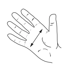 Lee Valley Totes For Veritas Custom Bench Planes