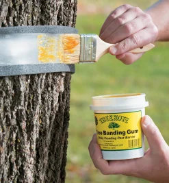 Lee Valley Tree Banding Kit