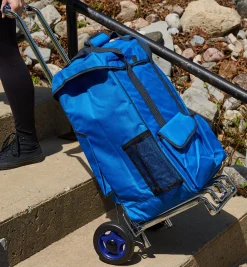 Lee Valley Ultimate Carryall