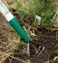 Lee Valley Ultimate Weeding Kit