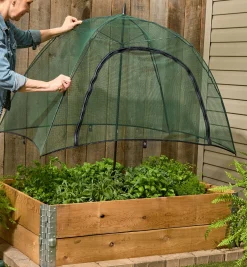 Lee Valley Umbrella Plant Dome