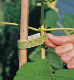 Lee Valley VELCRO® Plant Tie