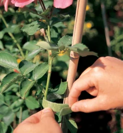 Lee Valley VELCRO® Plant Tie