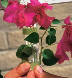 Lee Valley VELCRO® Plant Tie