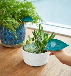 Lee Valley Watering Leaves