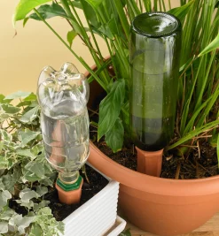 Lee Valley Watering Spikes