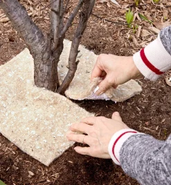 Lee Valley Weed Suppression Squares