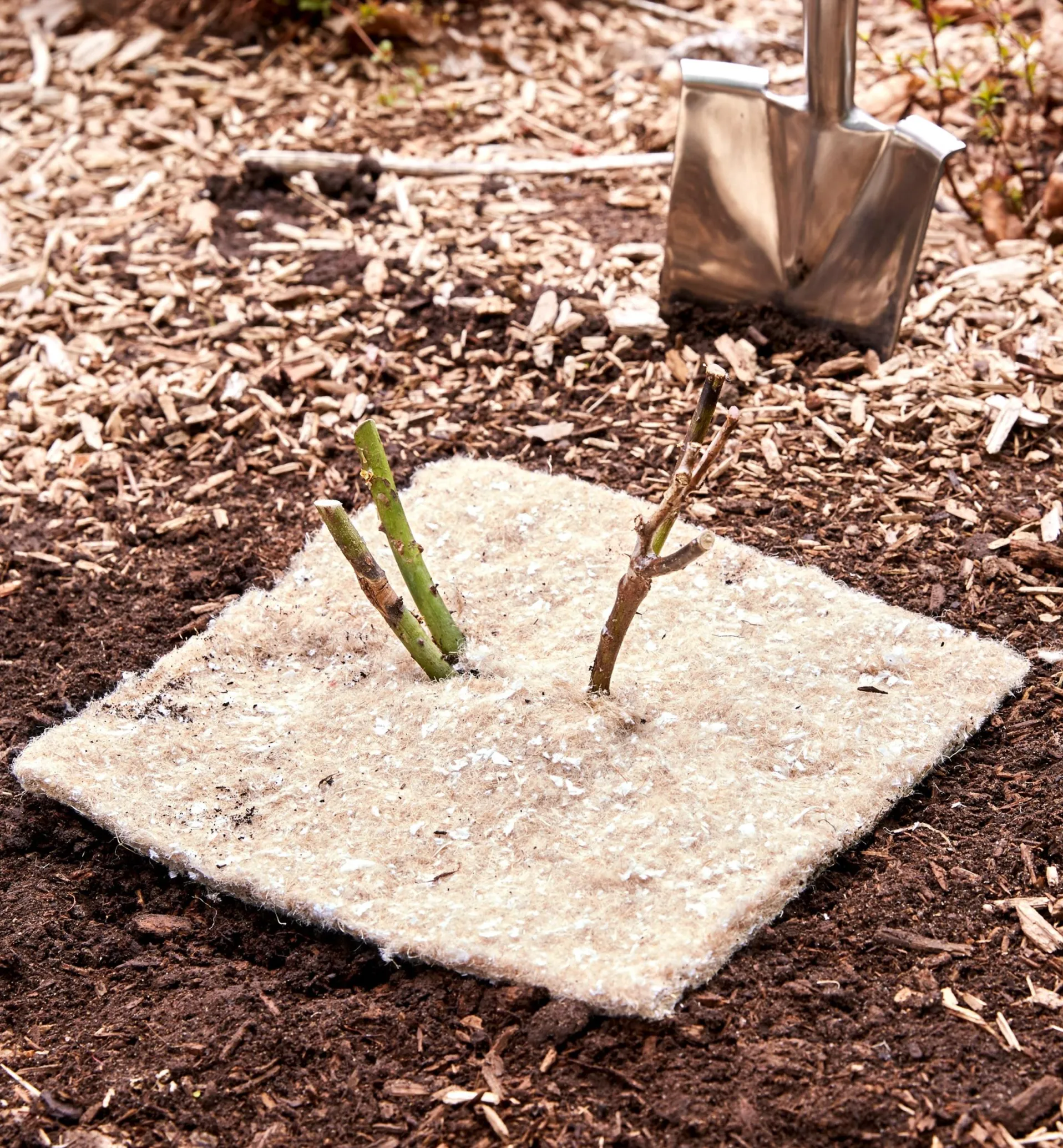 Lee Valley Weed Suppression Squares
