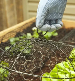 Lee Valley Wire Plant Protectors